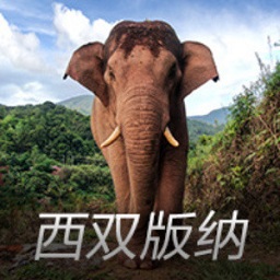 邓紫棋的深情，只值1个亿